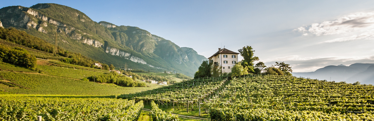 Vini-Alto-Adige-Amsterdam_foto-nieuwsbrief